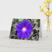 Morning Glory, kaart (Gele Bloem)