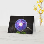 Morning Glory, kaart (Gele Bloem)
