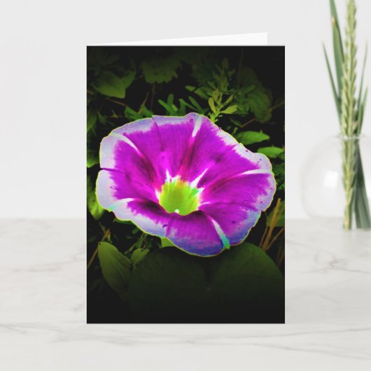Morning Glory, kaart (Voorkant)