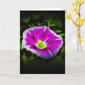 Morning Glory, kaart (Gele Bloem)