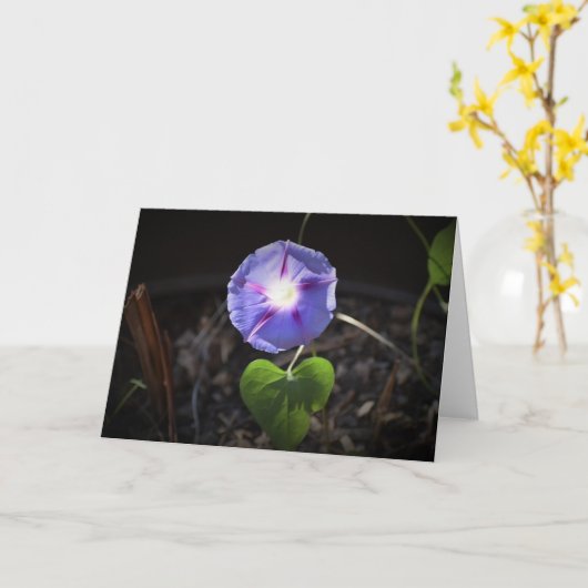 Morning Glory, kaart (Gele Bloem)