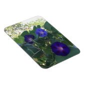 Morning Glory Kaleidoscope Magneet (Rechterzijde)