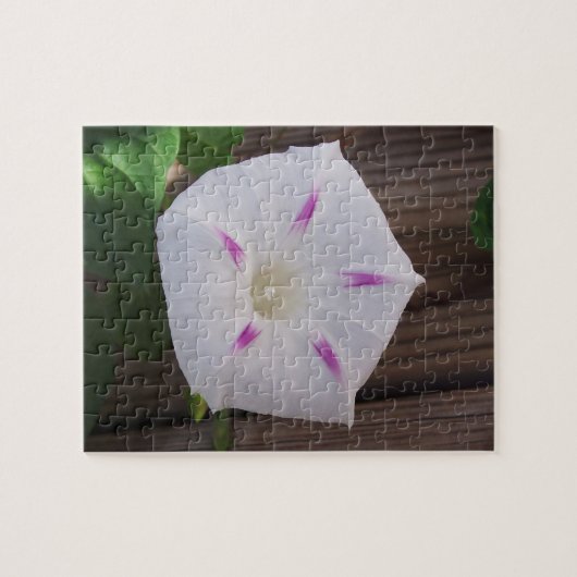 Morning Glory Legpuzzel (Horizontaal)