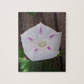 Morning Glory Legpuzzel (Verticaal)