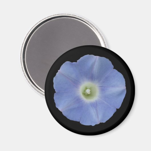 Morning Glory Magneet (Voorkant / Achterkant)