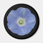 Morning Glory Magneet (Voorkant)