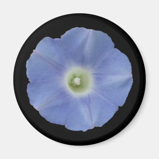 Morning Glory Magneet (Voorkant)