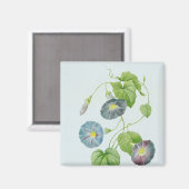 Morning Glory Magneet (Voorkant / Achterkant)