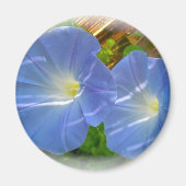 Morning Glory Magnet (Voorkant)