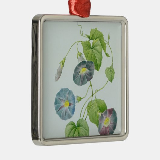 morning glory metalen ornament (Rechts)