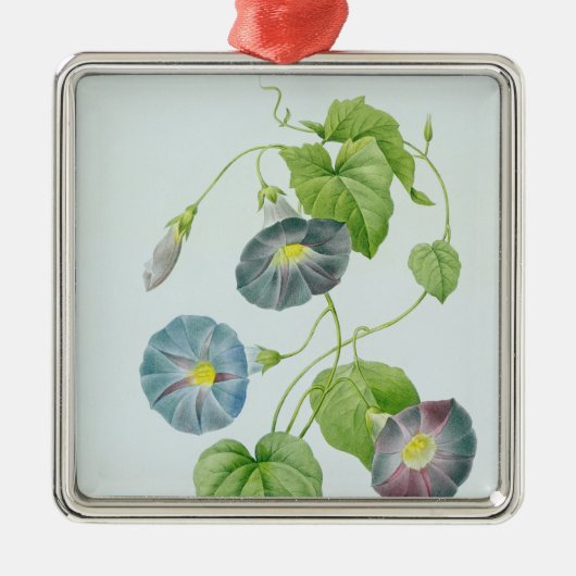 morning glory metalen ornament (Voorkant)