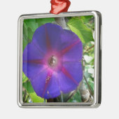Morning Glory Metalen Ornament (Links)