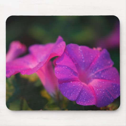 Morning Glory Mousepad Muismat (Voorkant)