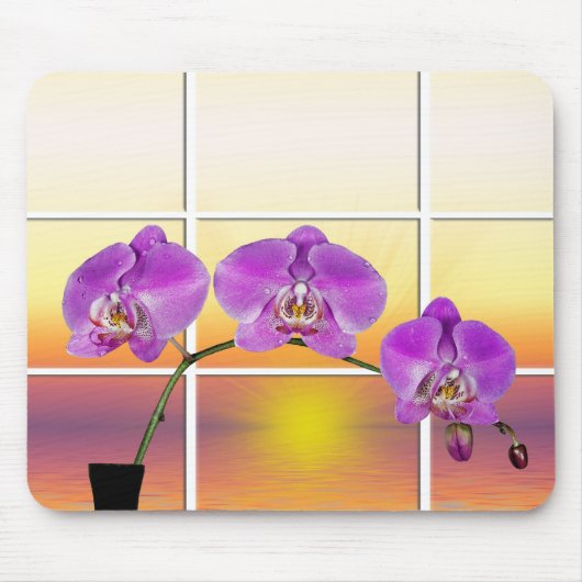 Morning Glory Muismat (Voorkant)