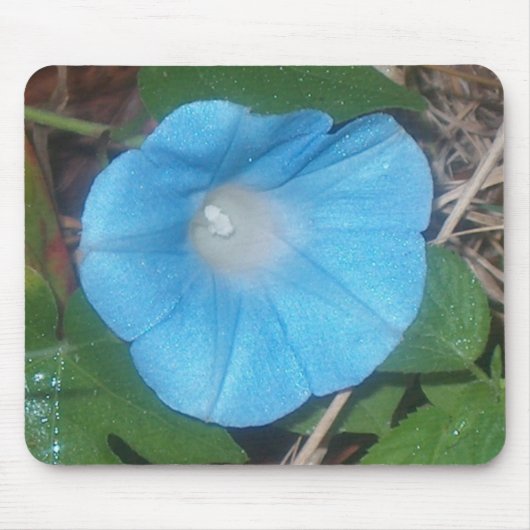 Morning Glory Muismat (Voorkant)