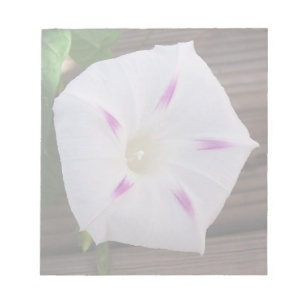 Morning Glory Notitieblok