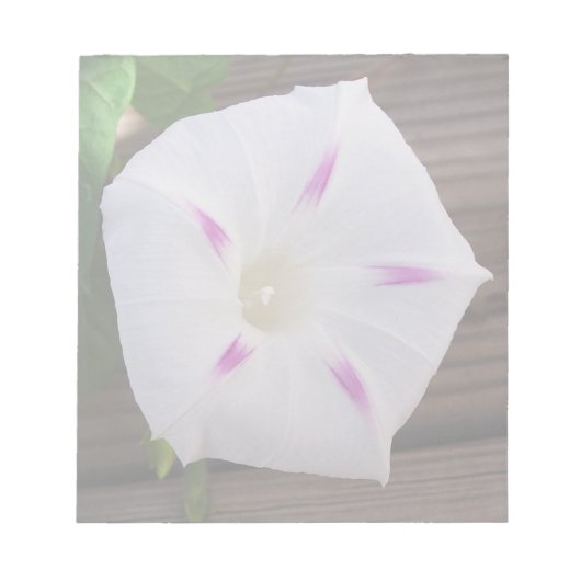Morning Glory Notitieblok (Voorkant)