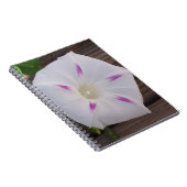 Morning Glory Notitieboek (Rechterzijde)