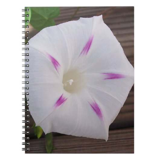Morning Glory Notitieboek (Voorkant)
