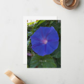 Morning Glory Notitiekaartje (Voorkant / Achterkant in situ)