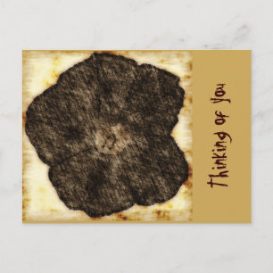 Morning Glory Old Time Sketch Briefkaart