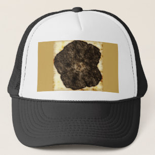 Morning Glory Old Time Sketch Trucker Pet