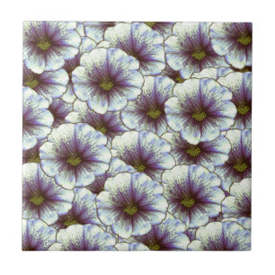 Morning Glory Paars en White Tegeltje