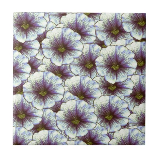 Morning Glory Paars en White Tegeltje (Voorkant)