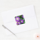 Morning Glory - Paarse bloemen Groene bladeren Vierkante Sticker (Envelop)
