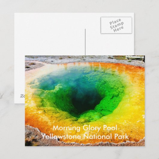 Morning Glory Pool Briefkaarten (Voorkant / Achterkant)