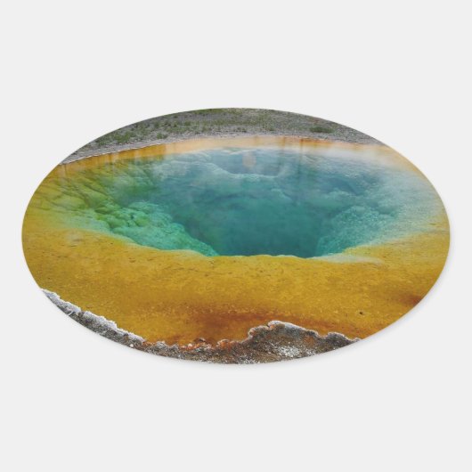 Morning Glory Pool Oval Stickers (Voorkant)
