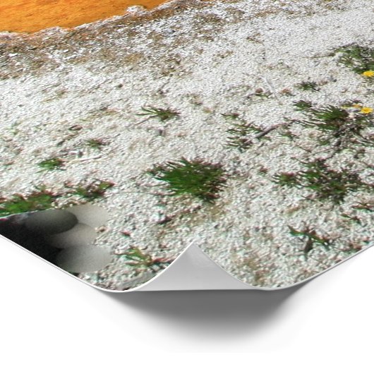 Morning Glory Pool, Yellowstone Nationa... Poster (Hoek)