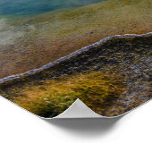Morning Glory Pool, Yellowstone National Park Poster (Hoek)