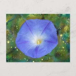 Morning Glory Post Kaart