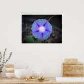 Morning Glory Poster (Keuken)