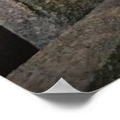 Morning Glory Poster (Hoek)