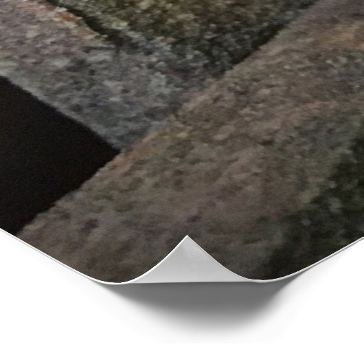 Morning Glory Poster (Hoek)