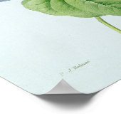 Morning Glory Poster (Hoek)