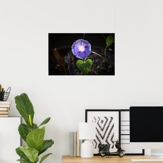 Morning Glory, Poster (Thuiskantoor)