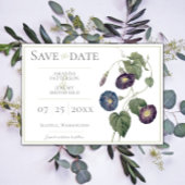 Morning Glory Save the Date