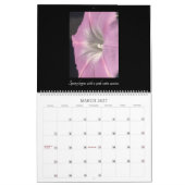 Morning Glory Schoonheid: Oceanen van Kleur 2026 Kalender (Mar 2027)