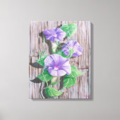 Morning Glory Schuur Canvas Afdruk (Voorkant)