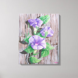 Morning Glory Schuur Canvas Afdruk
