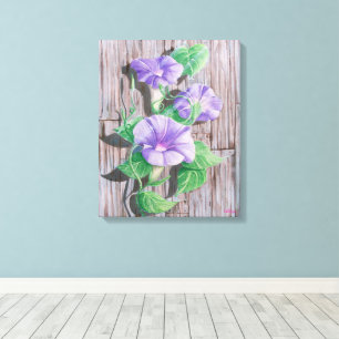 Morning Glory Schuur Canvas Afdruk