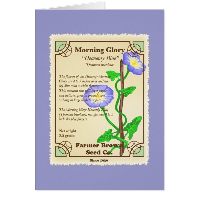 Morning Glory Seed Packet (Voorkant)