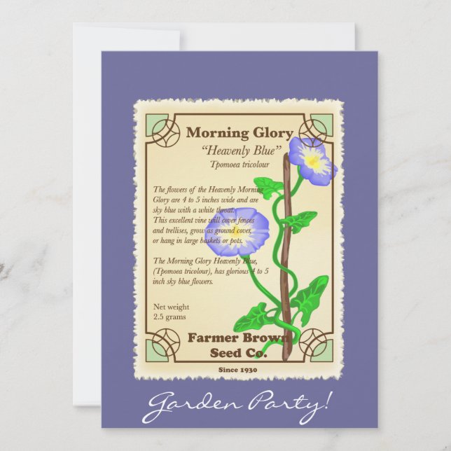 Morning Glory Seed Packet (Voorkant)