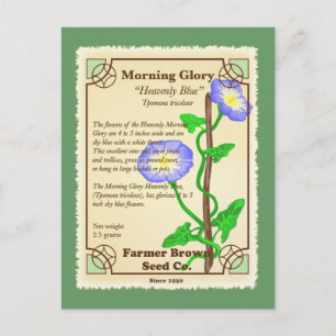 Morning Glory Seed Packet Briefkaart