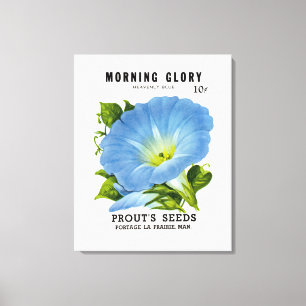 Morning Glory  Seed Packet Canvas Afdruk