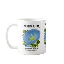 Morning Glory  Seed Packet