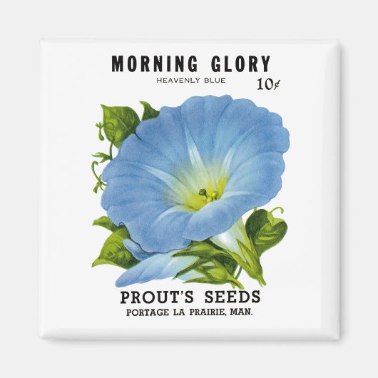 Morning Glory Seed Packet Magneet (Voorkant)